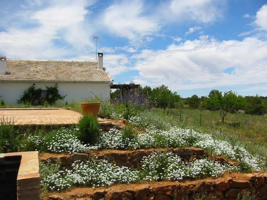 Gran Casa, Lagunas De Ruidera, Bbq, Porche, Chimenea Exterior photo